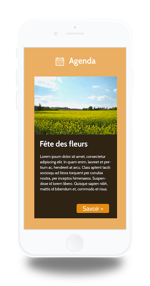 phone maquette Saint Nauphary